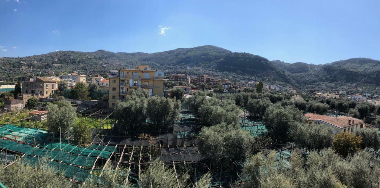 Le Muse Suite Sorrento Eksteriør billede