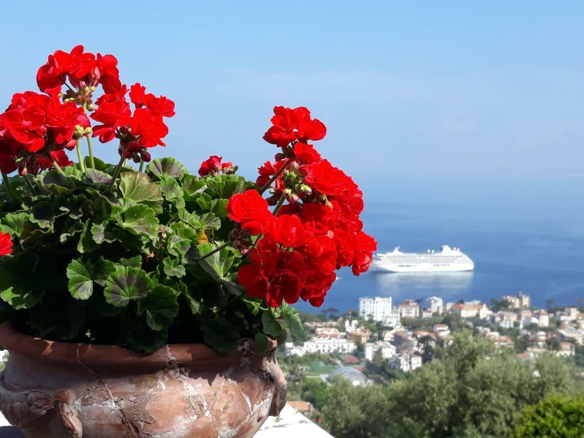 Le Muse Suite Sorrento Eksteriør billede