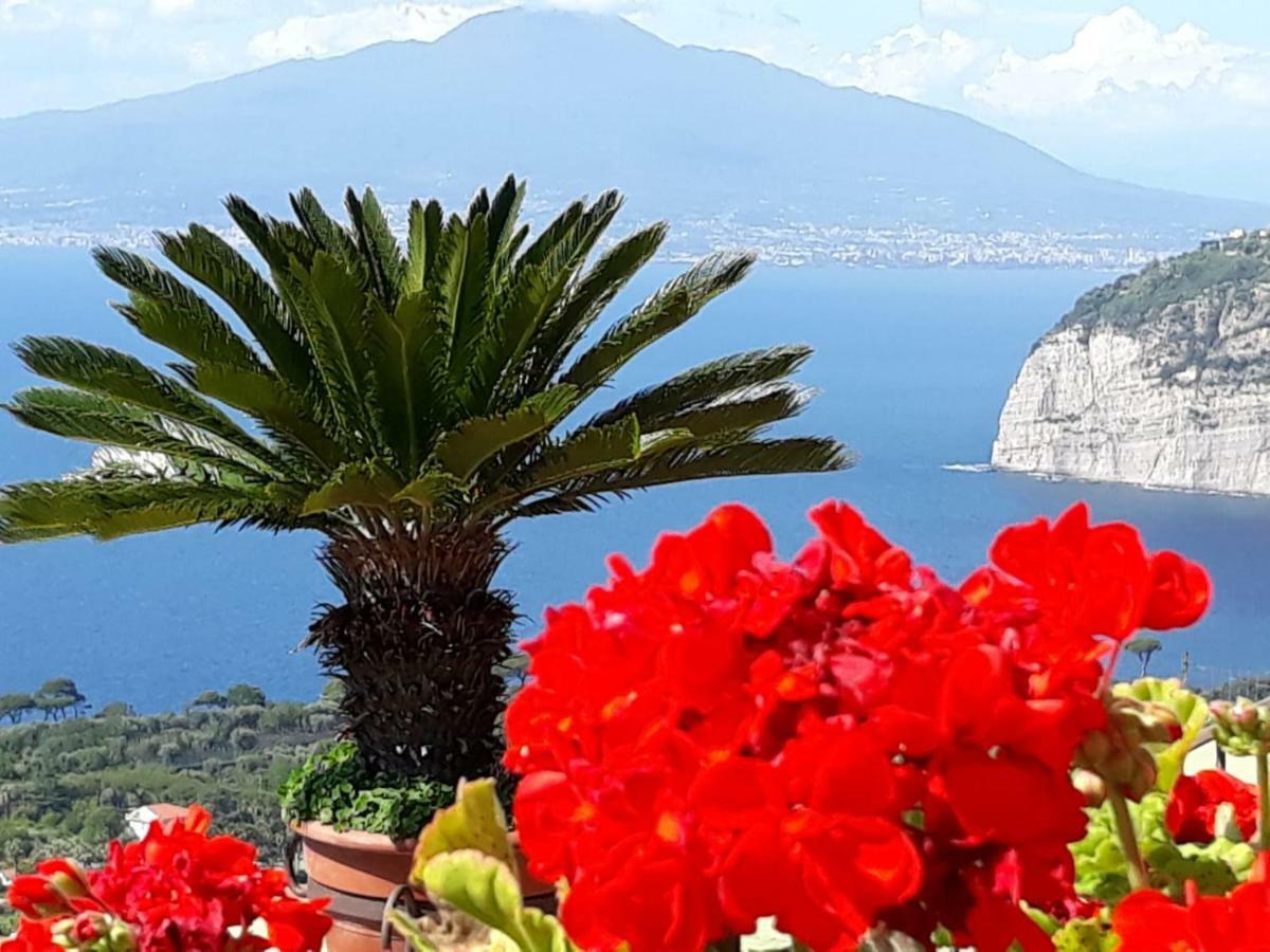 Le Muse Suite Sorrento Eksteriør billede